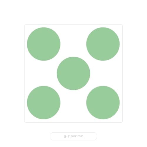 Bloomique Winterhart Duftlavendel - 3er Set - Gartenpflanzen Lavandula Angustifolia Ardèche - Winterhart - Mehrjährig -