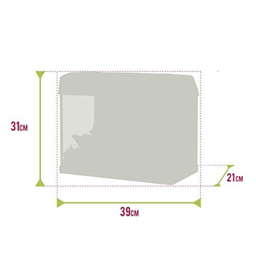 Dschungel Bonsai Mega Terrarium von vdvelde.com - 1 Bonsai + 5 Grünpflanzen - Abmessungen: 39x21x31 cm - Netzgebundene B