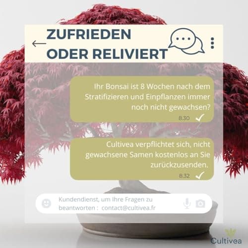 CULTIVEA® Bonsai Starter Kit - Set Bonsai Anzuchtset - 6 verschiedene Bonsaï-Samen - Wachstumsanleitung enthalten - Züch