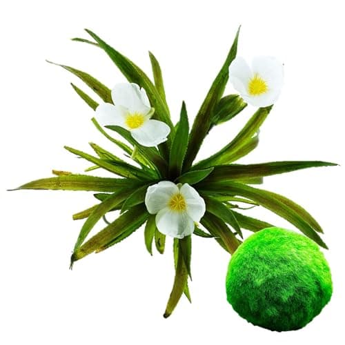 vdvelde.com - Grobes Hornblatt - 5 Liter - Schwimmende Sauerstoffpflanze - für Aquarier - ideales Sauerstoffierenetz - P