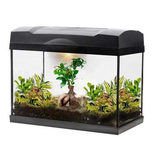 Dschungel Bonsai Mega Terrarium von vdvelde.com - 1 Bonsai + 5 Grünpflanzen - Abmessungen: 39x21x31 cm - Netzgebundene B