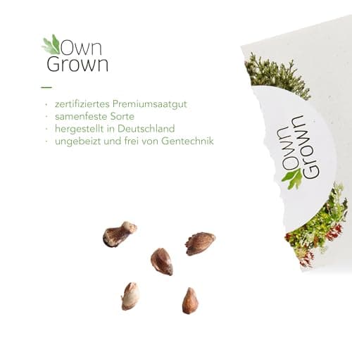Premium Bonsai Samen Set mit 8 Bonsai Saatgut Sorten – 40 Samen für den Mini Garten und Zen Garten – Idealer Anfang für