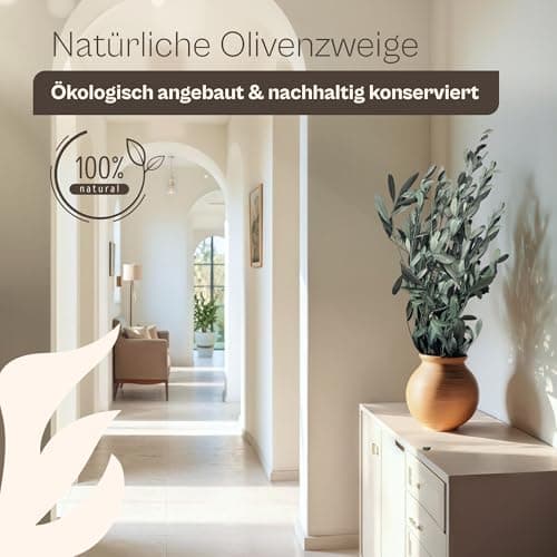 Lykke & You konservierte Olivenzweige aus Italien | Boho Deko für Wohnzimmer, Schlafzimmer & Büro – natürlich, elegant &