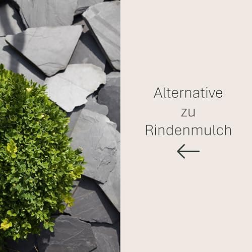 ∬ Schicker Mineral Schiefer Ziersplitt, farbechter Naturstein für deinen perfekten Garten!
|∬ Schieferbruch aus Deutschl