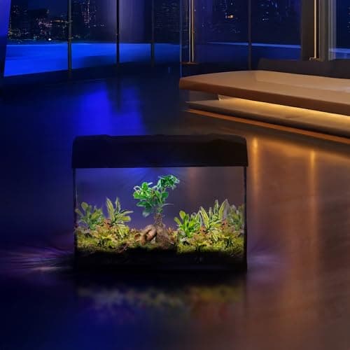 Dschungel Bonsai Mega Terrarium von vdvelde.com - 1 Bonsai + 5 Grünpflanzen - Abmessungen: 39x21x31 cm - Netzgebundene B
