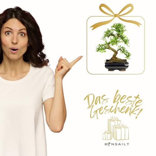 Bonsai Baum Ligustrum Keramik Blumentopf - Perfect für Sammler - Outdoor/Indoor - Mikrokrystallines Gerüst - 20cm Schale