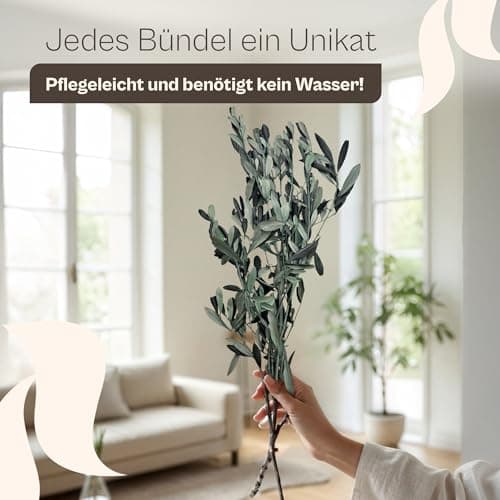 Lykke & You konservierte Olivenzweige aus Italien | Boho Deko für Wohnzimmer, Schlafzimmer & Büro – natürlich, elegant &