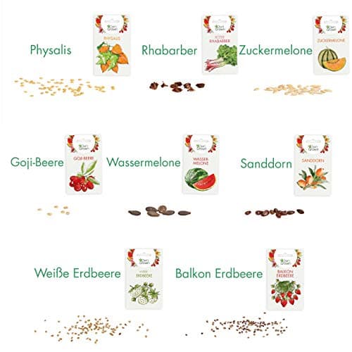 Obst Samen Set: Premium Garten Obst Saatgut mit 8 Sorten Obst Pflanzen für Garten und Balkon – Wassermelone Samen, Erdbe