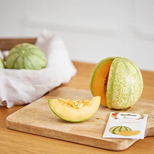 Obst Samen Set: Premium Garten Obst Saatgut mit 8 Sorten Obst Pflanzen für Garten und Balkon – Wassermelone Samen, Erdbe