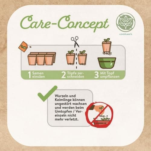 Bonsai Starter Kit - 4 außergewöhnliche Bonsai Samen für dein eigenes Bonsai Baum Projekt - einzigartiges Geschenk für F