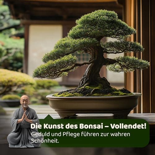 SeedPal - Bonsai Set - Anfänger Kit - Geschenkset inkl. Anleitung & Zubehör