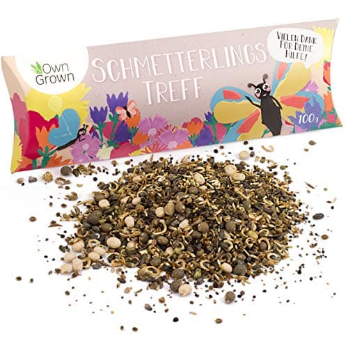 Bienenwiese Blumenmischung: Premium Saatgut für bunte Bienenweide - bienenfreundlich - ein- und mehrjährig - 100g OwnGro