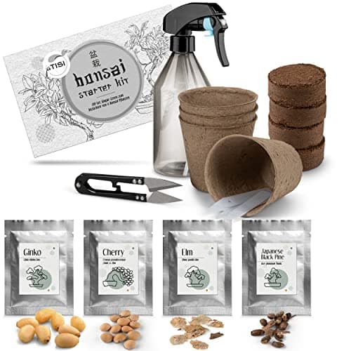 JATISI Glücksbaum Bonsai-Starter Kit – Nachhaltiges Anzuchtset für Anfänger mit Samen & Werkzeugen