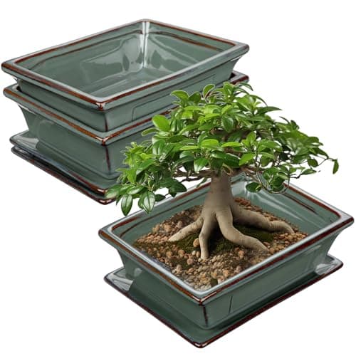 2er-Set Bonsai Keramiktopf mit Untersetzer und Entwässerungslöchern für Japanische Bonsai-Zimmerpflanzen | Retro-Dekorat