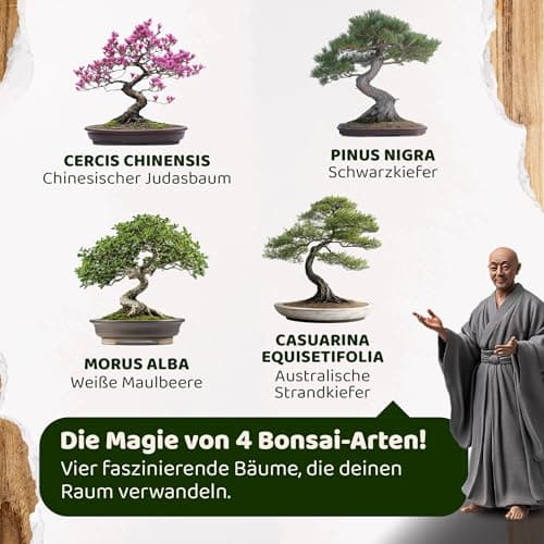 SeedPal - Bonsai Set - Anfänger Kit - Geschenkset inkl. Anleitung & Zubehör