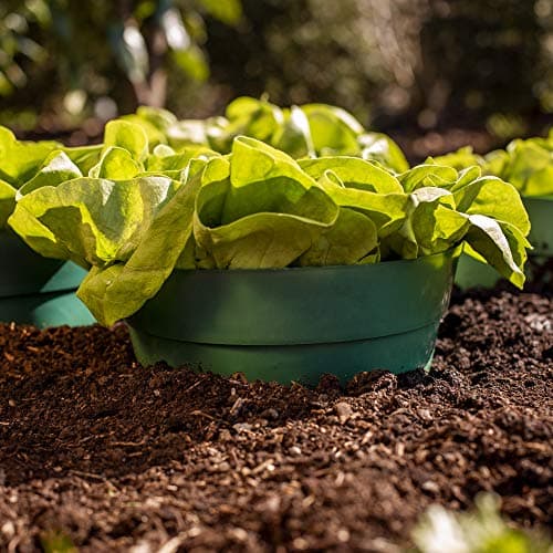 UPP ERD-Bewässerungsringe | Wasser sparen durch gezielte Gartenbewässerung | Optimale Blumen-Bewässerung | Kunststoff |