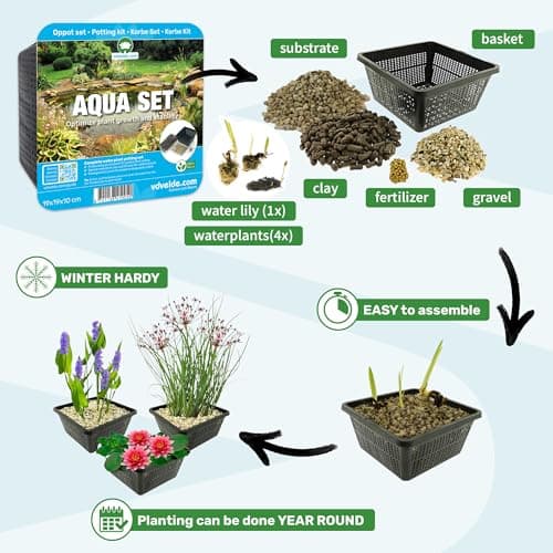 Van der Velde Wasserpflanzen Set Winterhart - 9 Teichpflanzen - Für Miniteiche und große Gartenteiche - Seerose, Schwane