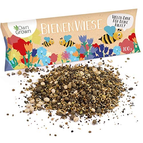 Bienenwiese Blumenmischung: Premium Saatgut für bunte Bienenweide - bienenfreundlich - ein- und mehrjährig - 100g OwnGro