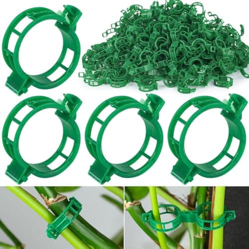 Neue Pflanzenclips für Kletterpflanzen Grün 100 Stück Befestigung Tomatenspieße Kunststoff Pflanzenkletterhilfe