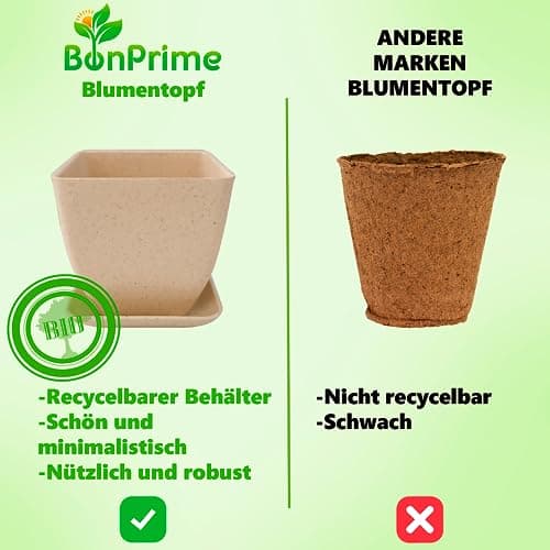 BonPrime Bonsai Starter Kit - Einsteigerfreundliches Set mit 4 Baumsorten - ideales Geschenk für Bonsai-Anfänger, 4 Pfla