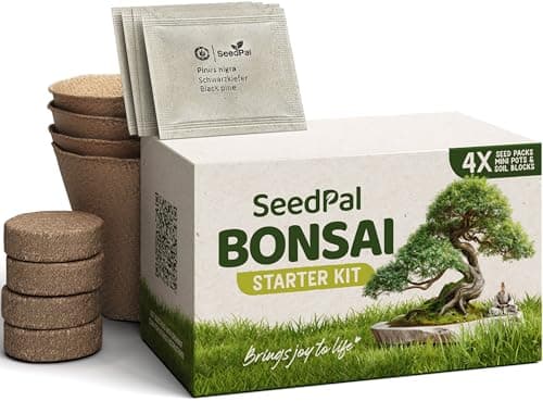 SeedPal - Bonsai Set - Anfänger Kit - Geschenkset inkl. Anleitung & Zubehör