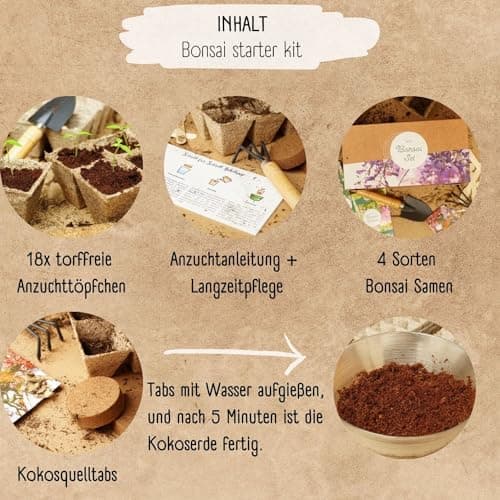 Bonsai Starter Kit - 4 außergewöhnliche Bonsai Samen für dein eigenes Bonsai Baum Projekt - einzigartiges Geschenk für F