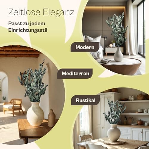 Lykke & You konservierte Olivenzweige aus Italien | Boho Deko für Wohnzimmer, Schlafzimmer & Büro – natürlich, elegant &