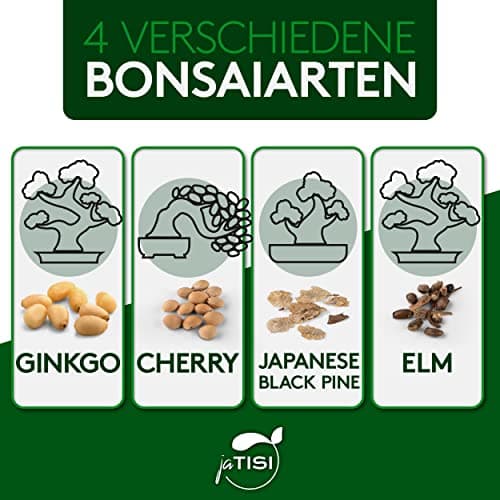 JATISI Glücksbaum Bonsai-Starter Kit – Nachhaltiges Anzuchtset für Anfänger mit Samen & Werkzeugen
