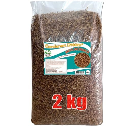 GardenersDream getrocknete Mehlwürmer - Perfekt für Vögel im Garten
| GardenersDream getrocknete Mehlwürmer - Naturvoll