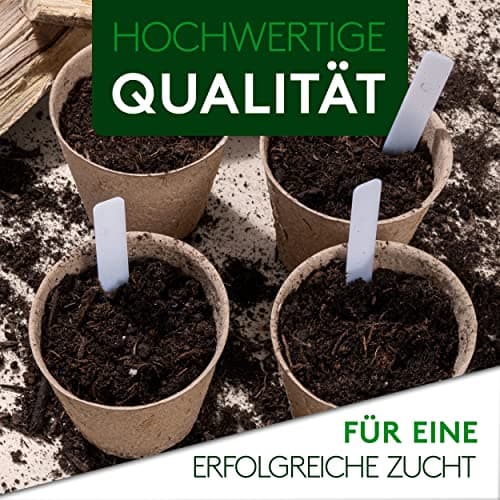 JATISI Glücksbaum Bonsai-Starter Kit – Nachhaltiges Anzuchtset für Anfänger mit Samen & Werkzeugen