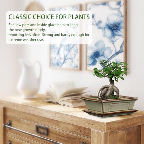 2er-Set Bonsai Keramiktopf mit Untersetzer und Entwässerungslöchern für Japanische Bonsai-Zimmerpflanzen | Retro-Dekorat