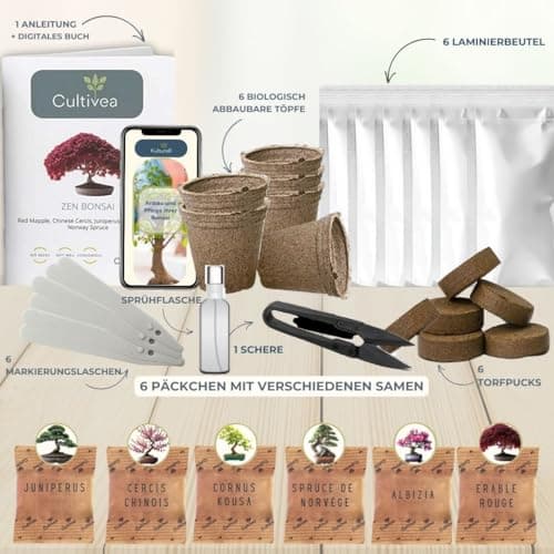 CULTIVEA® Bonsai Starter Kit - Set Bonsai Anzuchtset - 6 verschiedene Bonsaï-Samen - Wachstumsanleitung enthalten - Züch