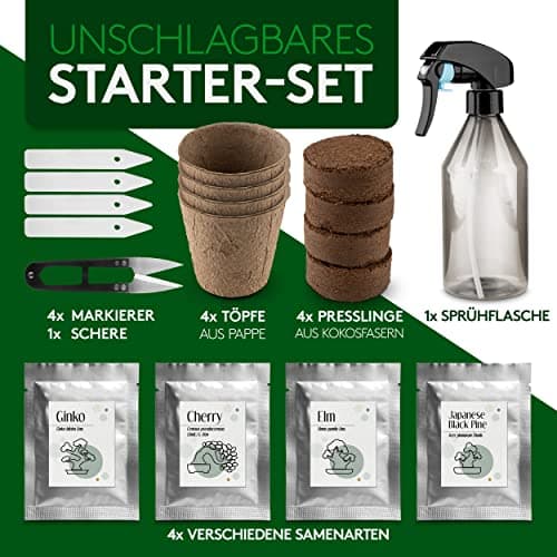 JATISI Glücksbaum Bonsai-Starter Kit – Nachhaltiges Anzuchtset für Anfänger mit Samen & Werkzeugen