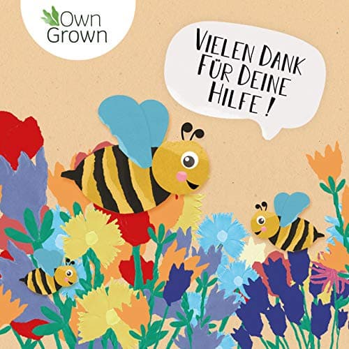 Bienenwiese Blumenmischung: Premium Saatgut für bunte Bienenweide - bienenfreundlich - ein- und mehrjährig - 100g OwnGro
