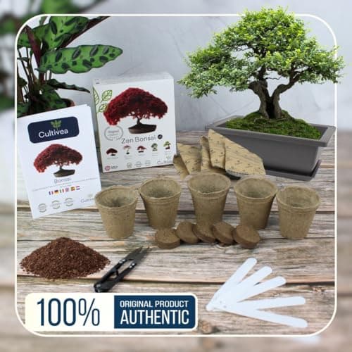 CULTIVEA® Bonsai Starter Kit - Set Bonsai Anzuchtset - 6 verschiedene Bonsaï-Samen - Wachstumsanleitung enthalten - Züch