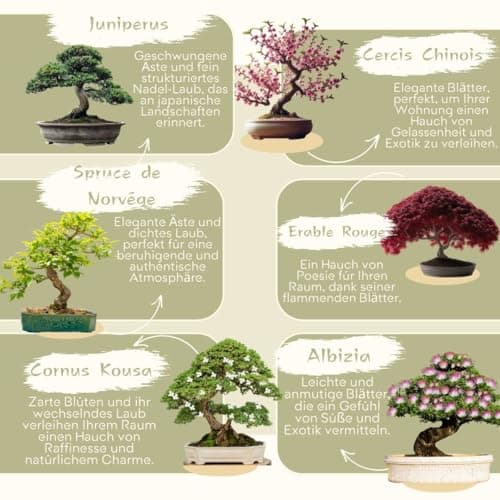 CULTIVEA® Bonsai Starter Kit - Set Bonsai Anzuchtset - 6 verschiedene Bonsaï-Samen - Wachstumsanleitung enthalten - Züch