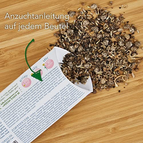 Bienenwiese Blumenmischung: Premium Saatgut für bunte Bienenweide - bienenfreundlich - ein- und mehrjährig - 100g OwnGro