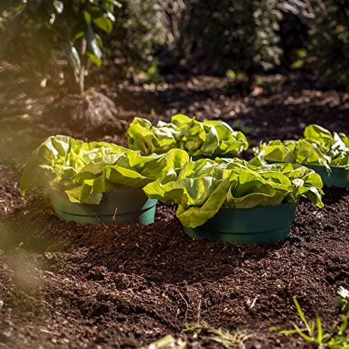 UPP ERD-Bewässerungsringe | Wasser sparen durch gezielte Gartenbewässerung | Optimale Blumen-Bewässerung | Kunststoff |