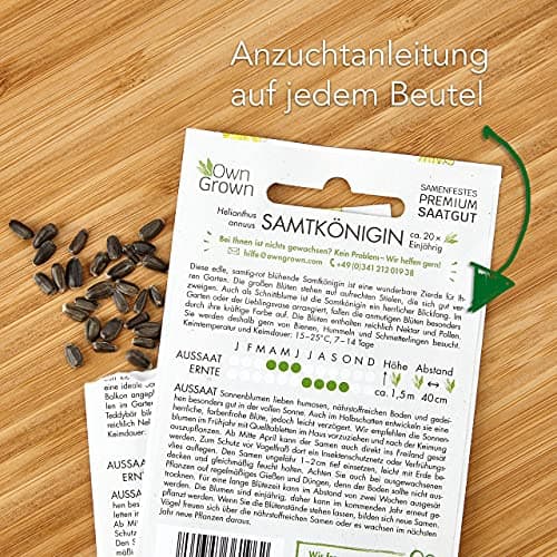 [OwnGrown - Sonnenblumen Samen Set] - Saatgut mit 6 Sorten, inkl. Riesige & Kleine Blüten – Blumen Geschenkbox für Garte