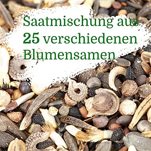 Bienenwiese Blumenmischung: Premium Saatgut für bunte Bienenweide - bienenfreundlich - ein- und mehrjährig - 100g OwnGro