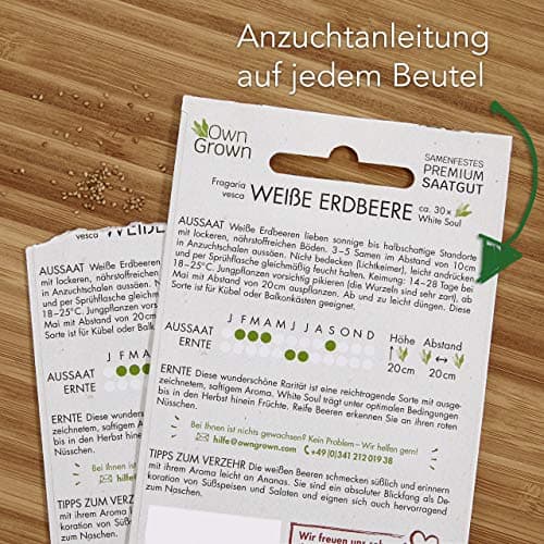 Obst Samen Set: Premium Garten Obst Saatgut mit 8 Sorten Obst Pflanzen für Garten und Balkon – Wassermelone Samen, Erdbe