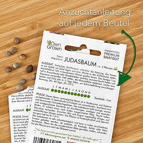 Premium Bonsai Samen Set mit 8 Bonsai Saatgut Sorten – 40 Samen für den Mini Garten und Zen Garten – Idealer Anfang für