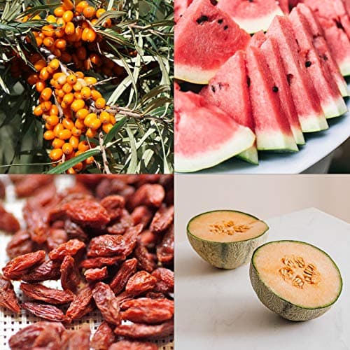 Obst Samen Set: Premium Garten Obst Saatgut mit 8 Sorten Obst Pflanzen für Garten und Balkon – Wassermelone Samen, Erdbe