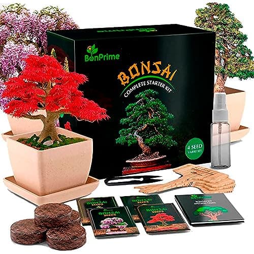 BonPrime Bonsai Starter Kit - Einsteigerfreundliches Set mit 4 Baumsorten - ideales Geschenk für Bonsai-Anfänger, 4 Pfla