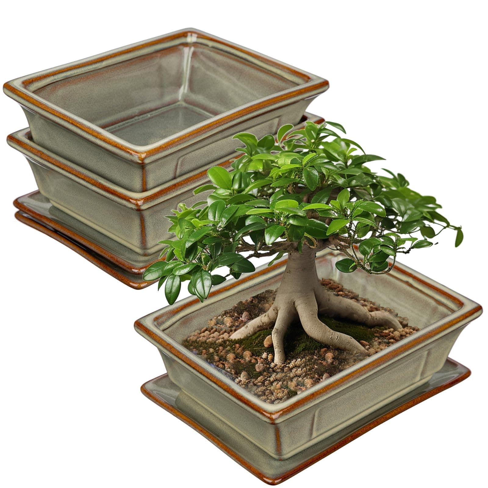 2er-Set Bonsai Keramiktopf mit Untersetzer und Entwässerungslöchern für Japanische Bonsai-Zimmerpflanzen | Retro-Dekorat
