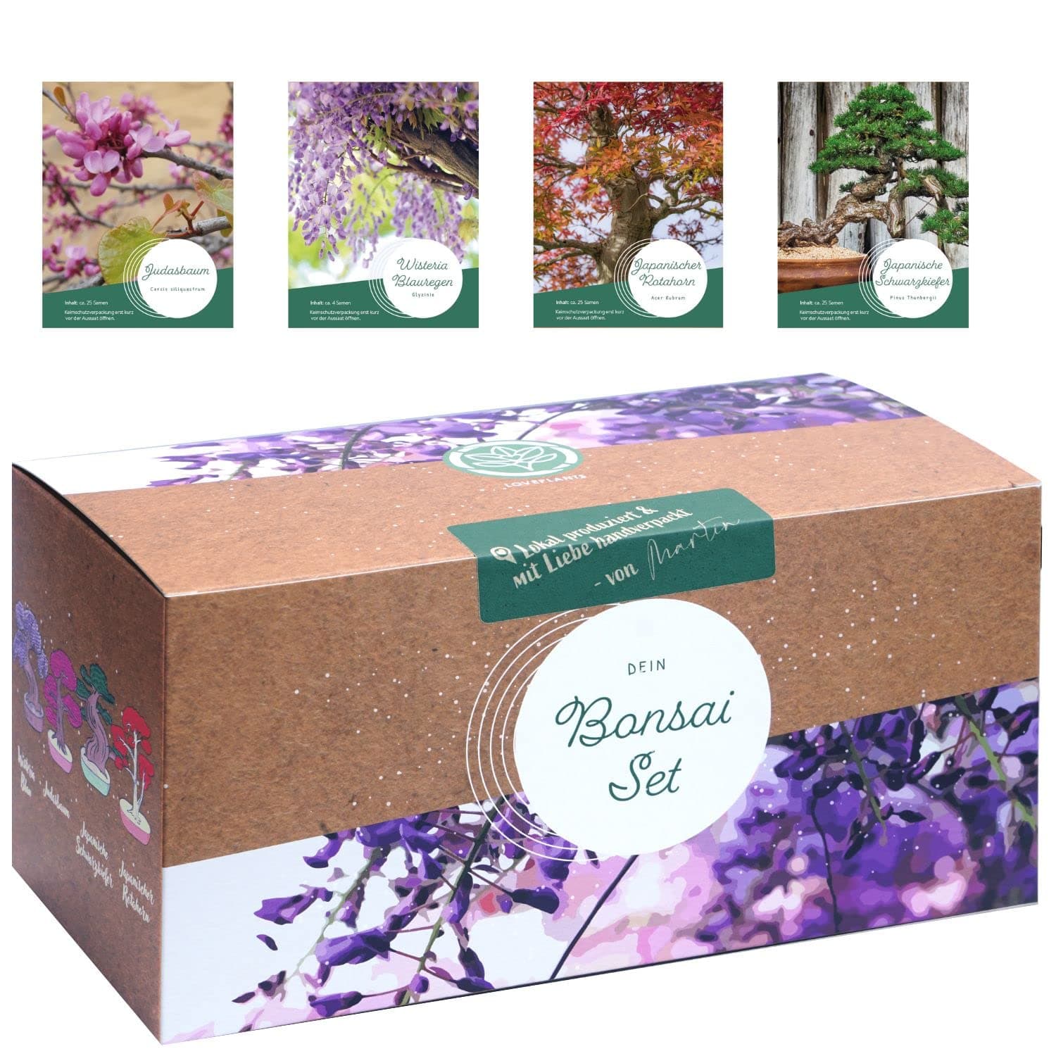 Bonsai Starter Kit - 4 außergewöhnliche Bonsai Samen für dein eigenes Bonsai Baum Projekt - einzigartiges Geschenk für F