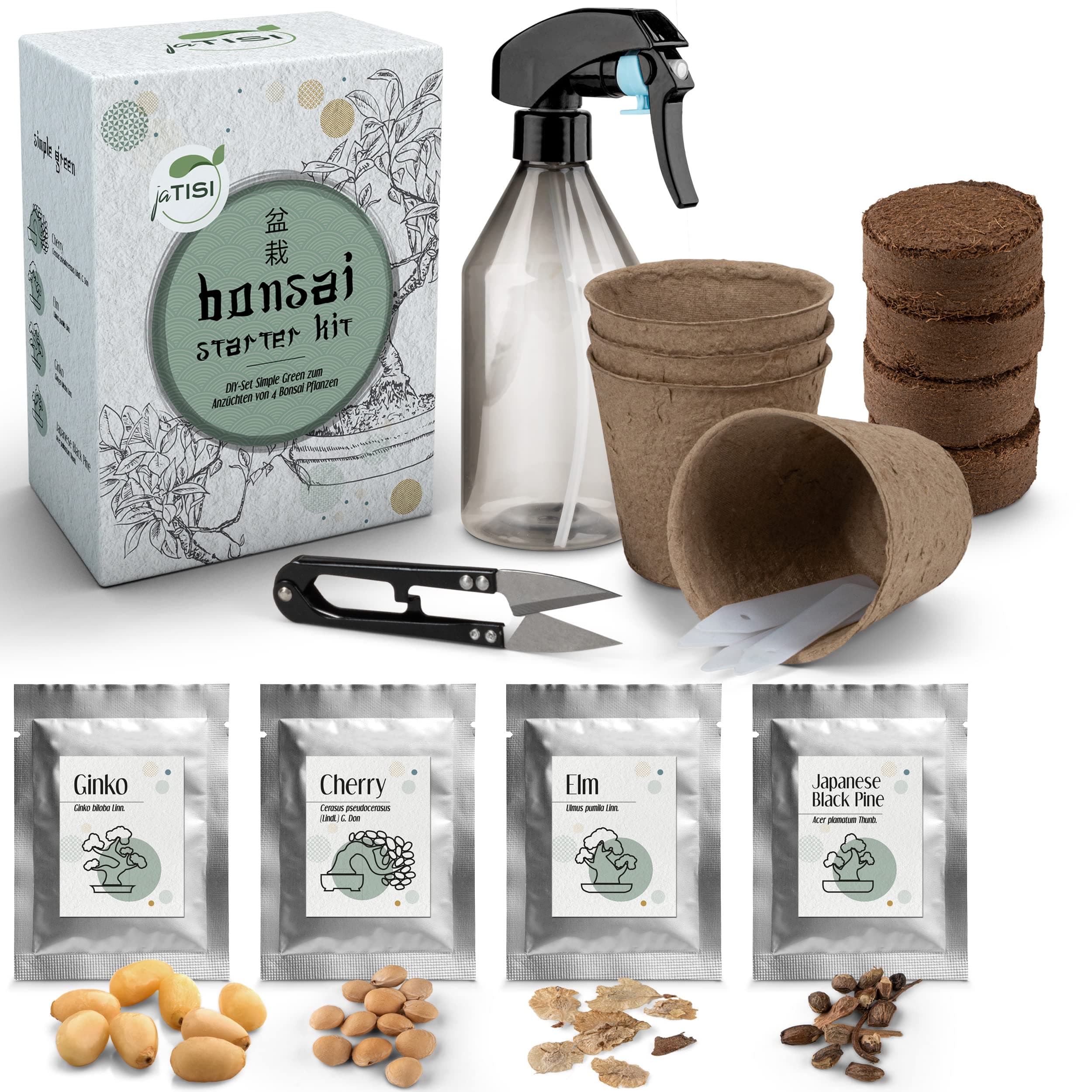 JATISI Glücksbaum Bonsai-Starter Kit – Nachhaltiges Anzuchtset für Anfänger mit Samen & Werkzeugen