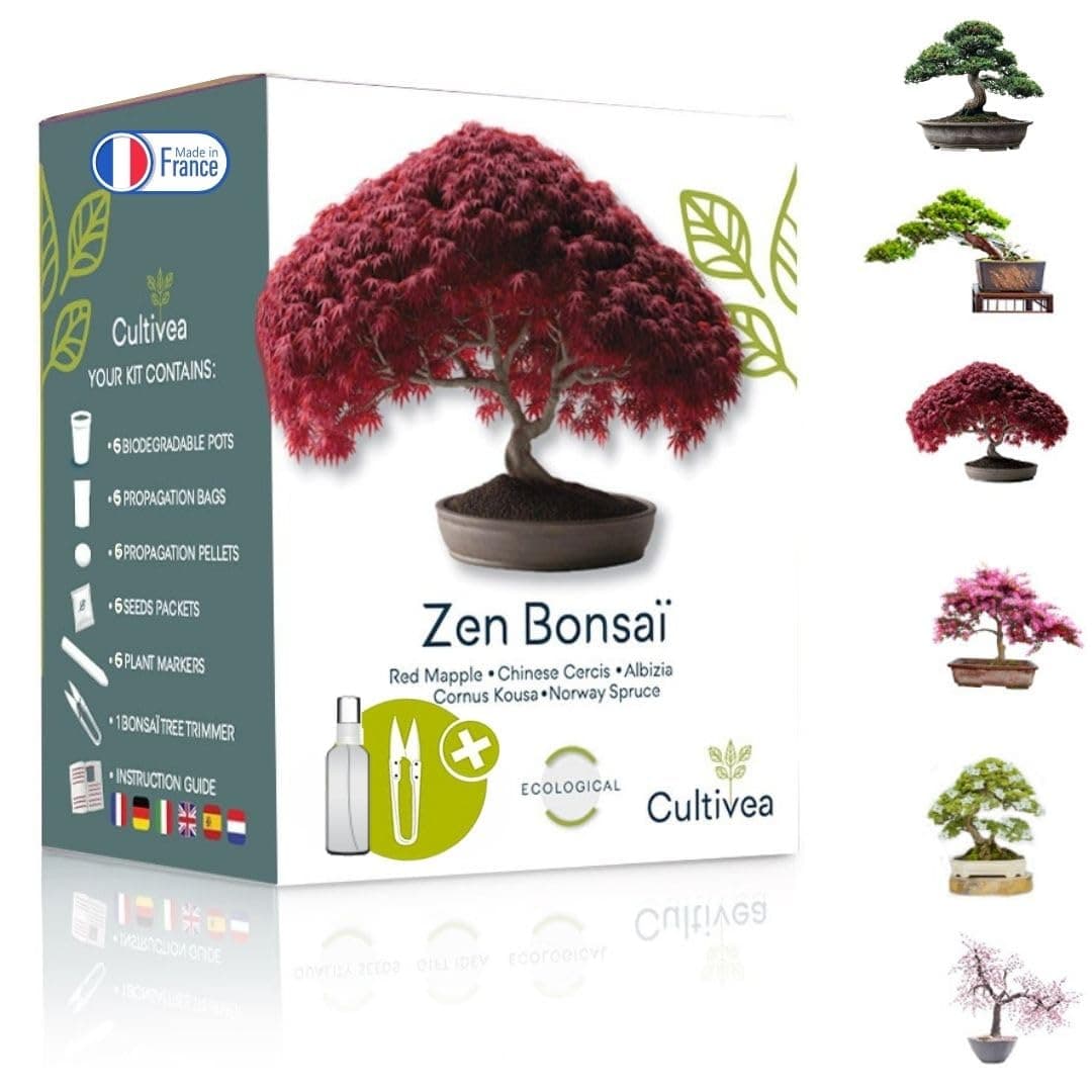CULTIVEA® Bonsai Starter Kit - Set Bonsai Anzuchtset - 6 verschiedene Bonsaï-Samen - Wachstumsanleitung enthalten - Züch