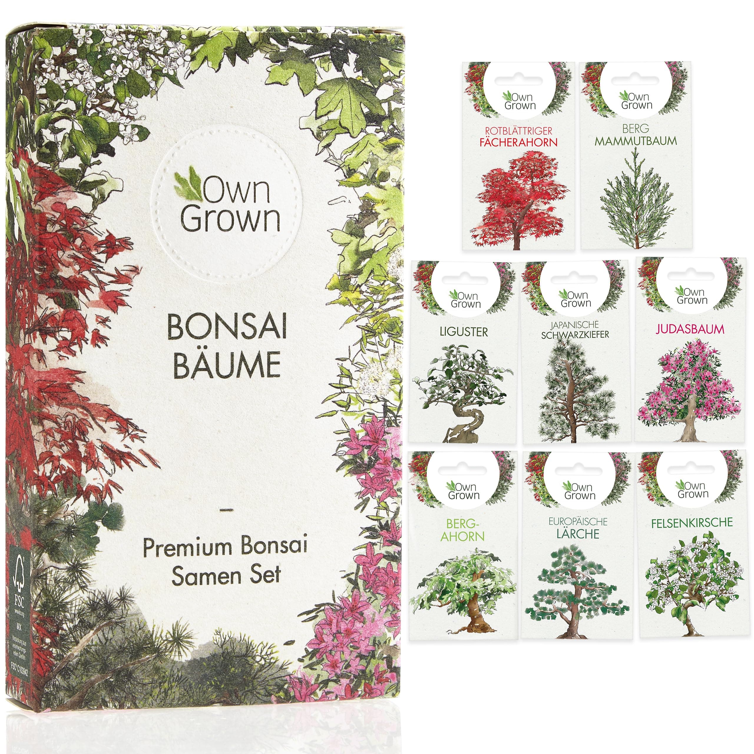 Premium Bonsai Samen Set mit 8 Bonsai Saatgut Sorten – 40 Samen für den Mini Garten und Zen Garten – Idealer Anfang für